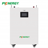 PKNERGY 5Kwh 48V 51.2V 100Ah Wall-Mount LiFePO4 Battery